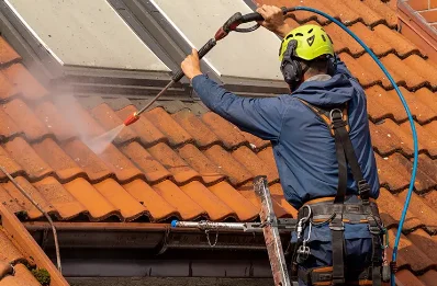 Démoussage et hydrofuge de toiture à Létanne